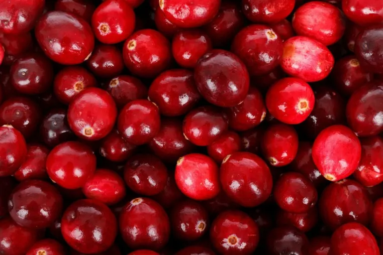 Bild: Auranatura Erfahrungen: Die gesundheitlichen Aspekte der Cranberry im Fokus