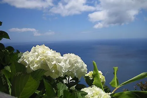 Reisen mit gutem Gewissen: Traumhafte Gartenreisen mit dem extra Umweltfaktor Bild: Reisen mit gutem Gewissen: Traumhafte Gartenreisen mit dem extra Umweltfaktor