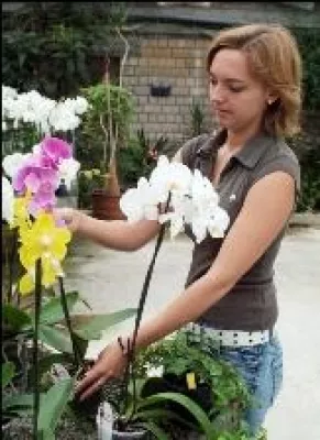 Mehr als sicher: Funk-Alarmtechnik von Daitem bietet Schutz für Hof, Stallungen, Tiere und Landmaschinen Bild: Mehr als sicher: Funk-Alarmtechnik von Daitem bietet Schutz für Hof, Stallungen, Tiere und Landmaschinen