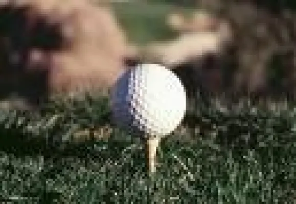 Die Golfer kommen Bild: Die Golfer kommen