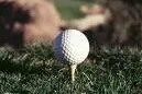 Bild: Die Golfer kommen