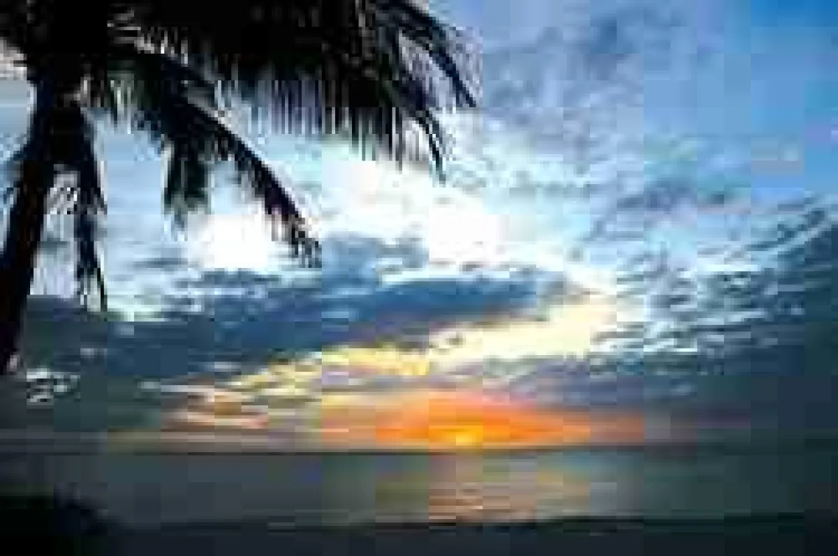 (c) Naples, Marco Island, Everglades Convention and Visitors Bureau