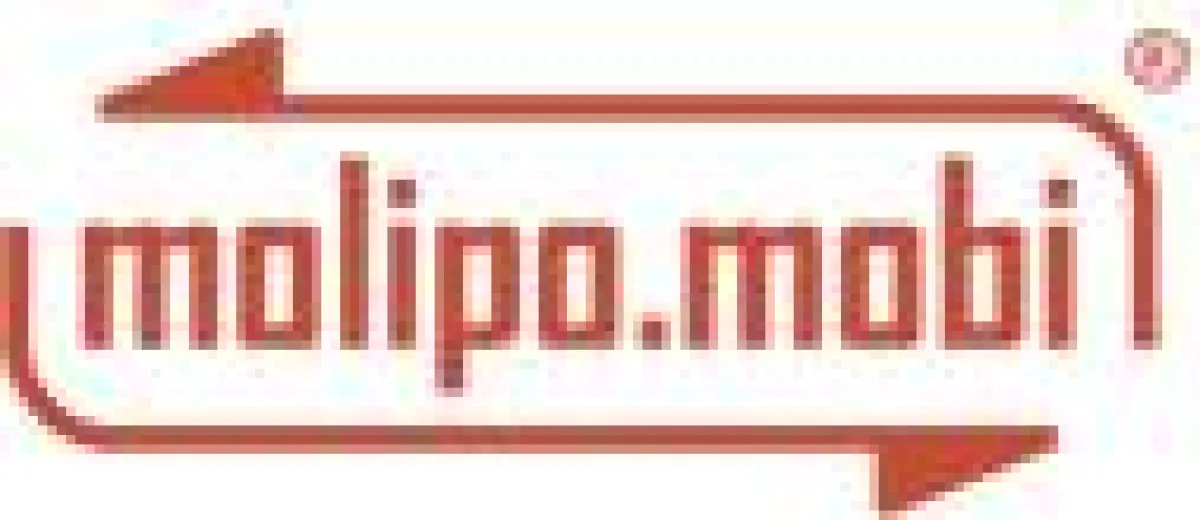 moipo.mobi Domain