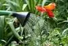 Bild: Gartengestaltung und Gartenpflege mit Gartenarbeit.tv