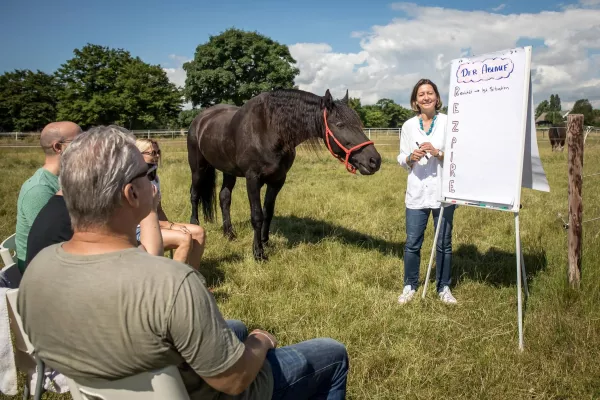 Bild: Die REZPIRE® Methode im pferdegestützten Coaching erhält Prüfung und Zertifizierung durch den BDVT e.V. 