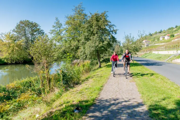 Bild: Zur Weinlese mit dem Fahrrad entlang der Unstrut