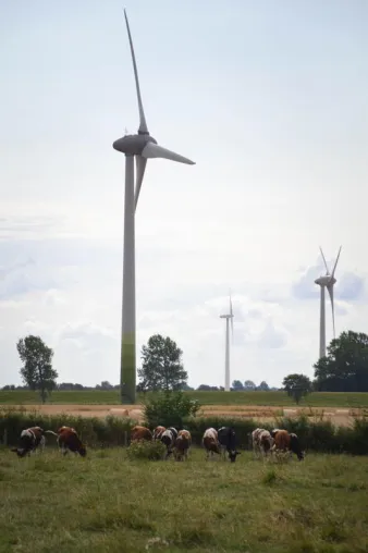 Bürgerschaftliches Engagement für die Energiewende im Ostseeraum stärken Bild: Bürgerschaftliches Engagement für die Energiewende im Ostseeraum stärken