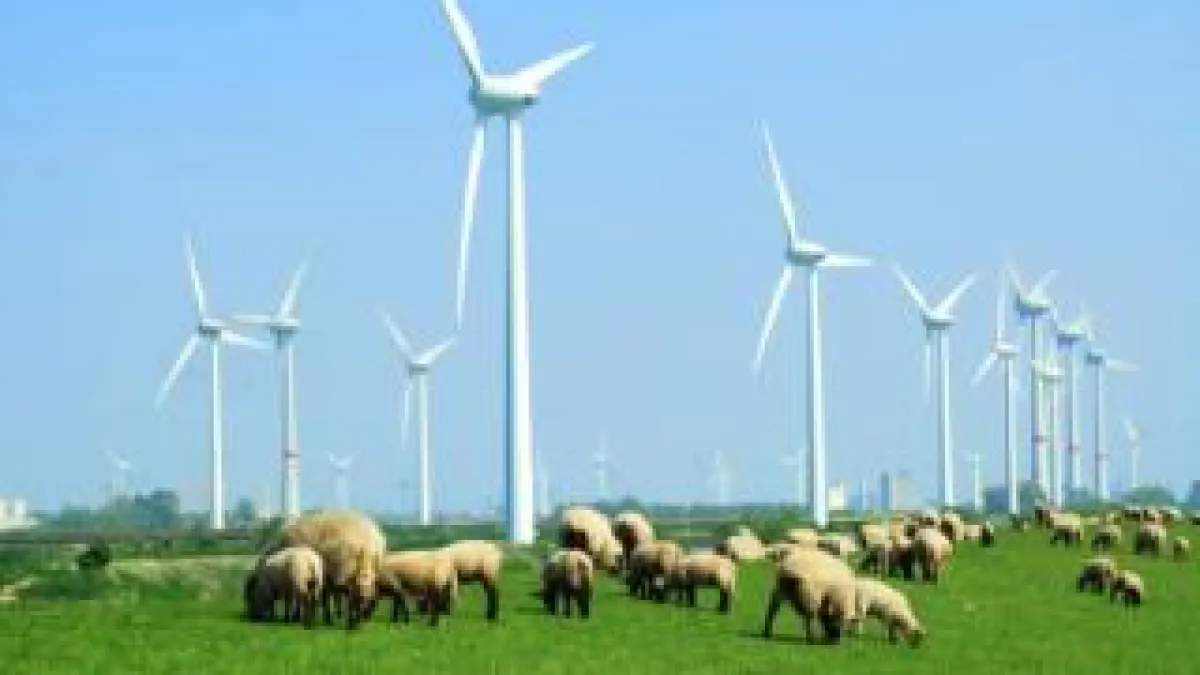 Erneuerbare Energien sind gefragt
