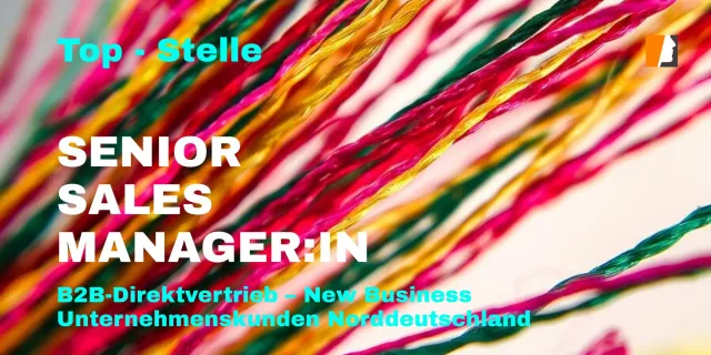Bild: Executive Search für B2B Solution Sales: Senior Sales Manager für neues Direktgeschäft gesucht