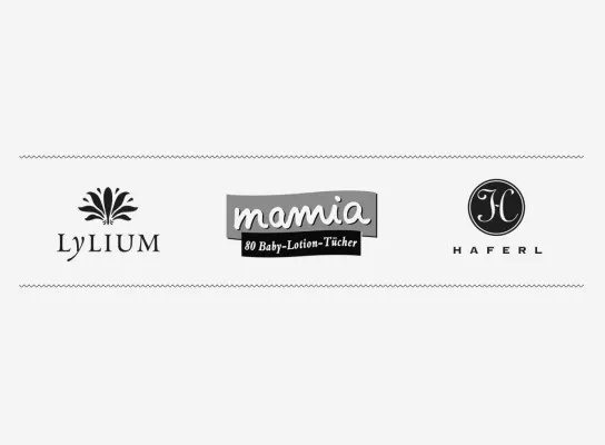 Bild: Logo-Leasing für Startups 