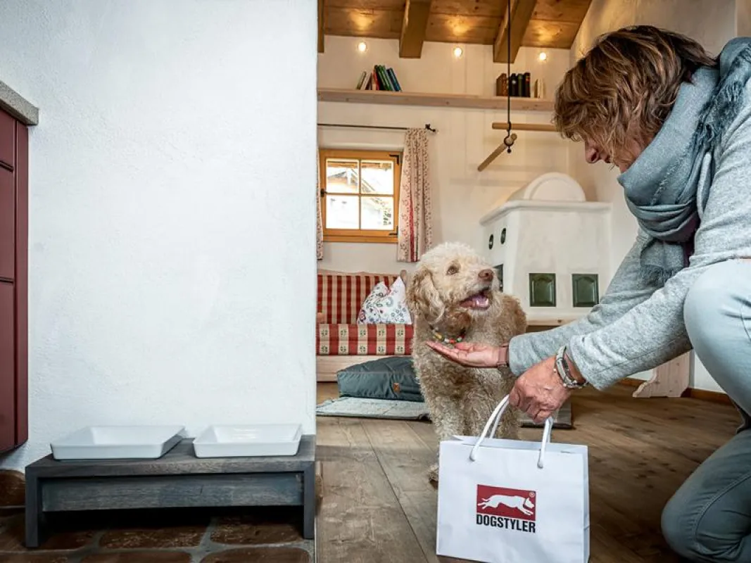 Mit dem Hund ins PURADIES in Österreich
