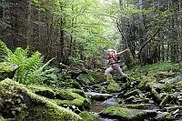 Bild: WANDERN in Bayern – die neue Lust am Naturgenuss:
