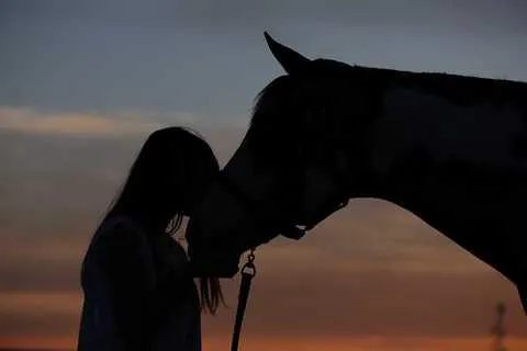 Mensch und Pferd Bild: Mensch und Pferd