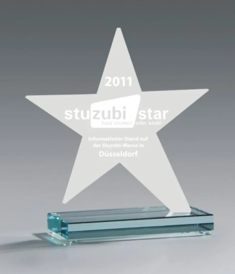 StuzubiStar 2011, verliehen an die Heinrich-Heine-Universität Düsseldorf