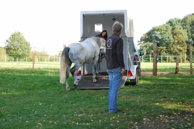 Bild: Tag der offenen Tür bei Horsemen-United in Düsseldorf war ein voller Erfolg