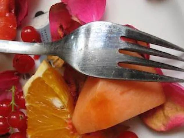 Bild: Eckpunkte gesunder Ernährungspolitik