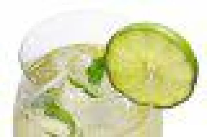 Bild: Der Sommer Tipp von Eller Finest Selections: ein histaminfreier Hugo