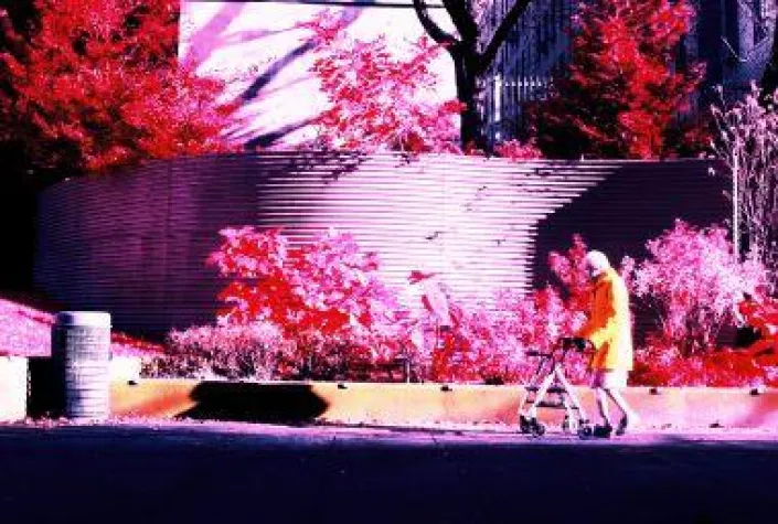 Bild: VERNISSAGE: Freitag, 13.04.-19 Uhr: MATTHEW TISCHLER: Public Space(Fotografie), AUSSTELLUNG: 14 – 30.04.07