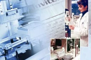 Bild: Invitek und Forscher der Charité entwickeln Testsystem für die Krebsdiagnostik