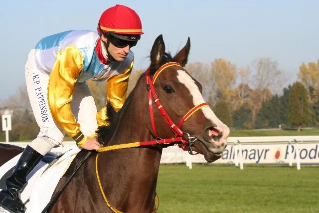 Bild: Sondersendung Pferderennsport live auf Equi8