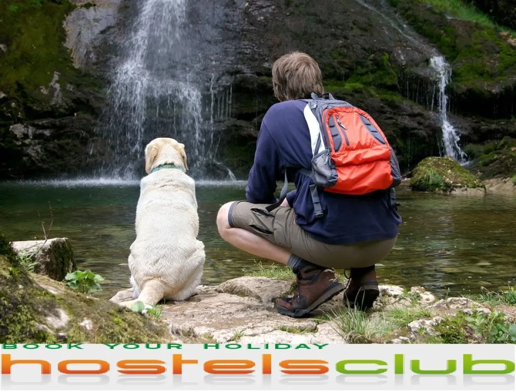 Urlaub mit Haustier