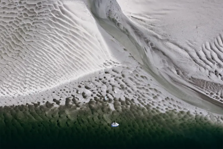Bild: Gemeinsam für das Wattenmeer: Nationalparkverwaltung und Senckenberg starten Forschungskooperation