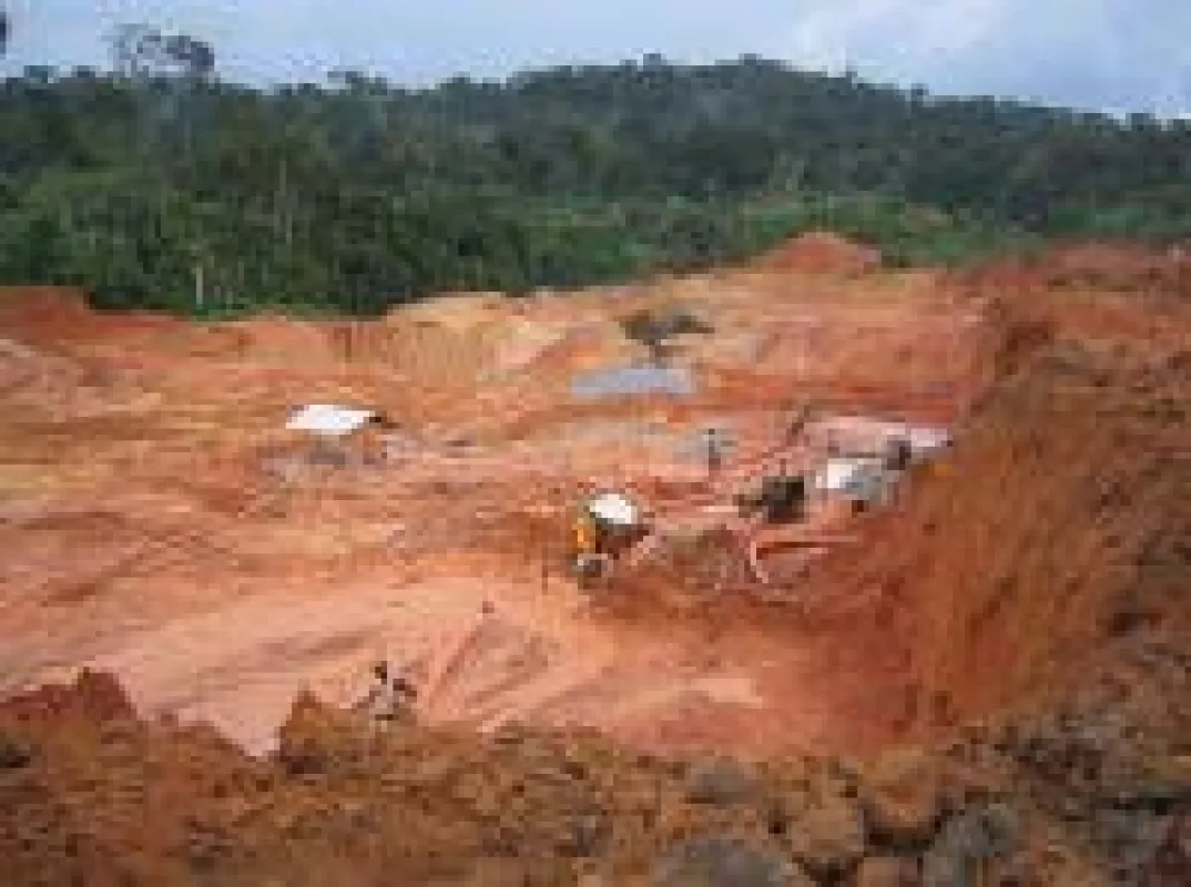 GoldMining