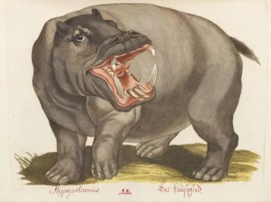 Bild: Tierisch gut - Auktion Wertvolle Bücher in Hamburg - EUR 72.000* für Vierfüßiges