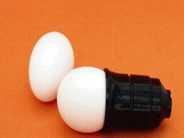 Bild: AVANTGARDE - oder die Frage nach dem NBF [Next Big Flop]