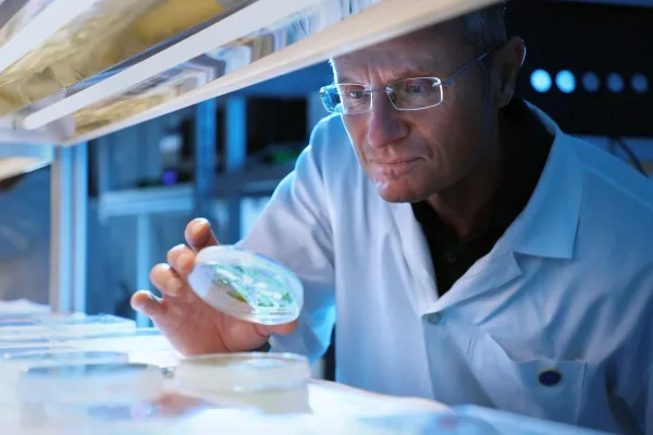 Bild: Münchner Pflanzenforscher machen Photosynthese fit für den Klimawandel