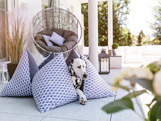 FLUM Outdoor – Stylische Hundekissen für den Goldenen Herbst Bild: FLUM Outdoor – Stylische Hundekissen für den Goldenen Herbst