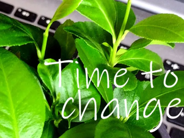 Bild: Kontakte für nachhaltige Selbständige 