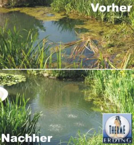 Bild: Wasserexperten realisieren mit ihrem belebten Wasser optimale Wasserqualität für algenfreie Biotope und Teiche
