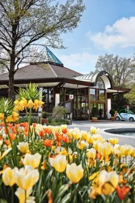 Bild: Frühlingserwachen mit Tulpenpfad, Tanz und Konzerten - Tulpenfest im Kneipp-Original Bad Wörishofen