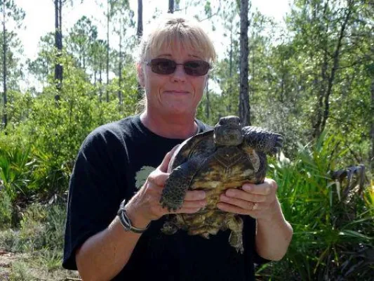 Neues Zuhause für Schildkröten Bild: Neues Zuhause für Schildkröten