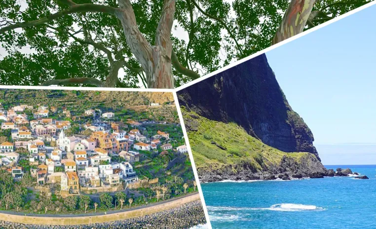 Bild: Madeira für die Ohren – Neue Audio-Spaziergänge bringen Inselmomente nach Hause