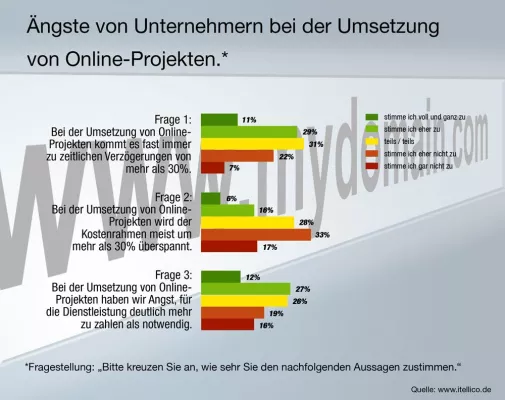 Bild: Firmen-Website: 40 Prozent der Unternehmer befürchten zu hohe Kosten