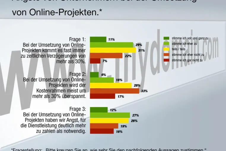Bild: Firmen-Website: 40 Prozent der Unternehmer befürchten zu hohe Kosten