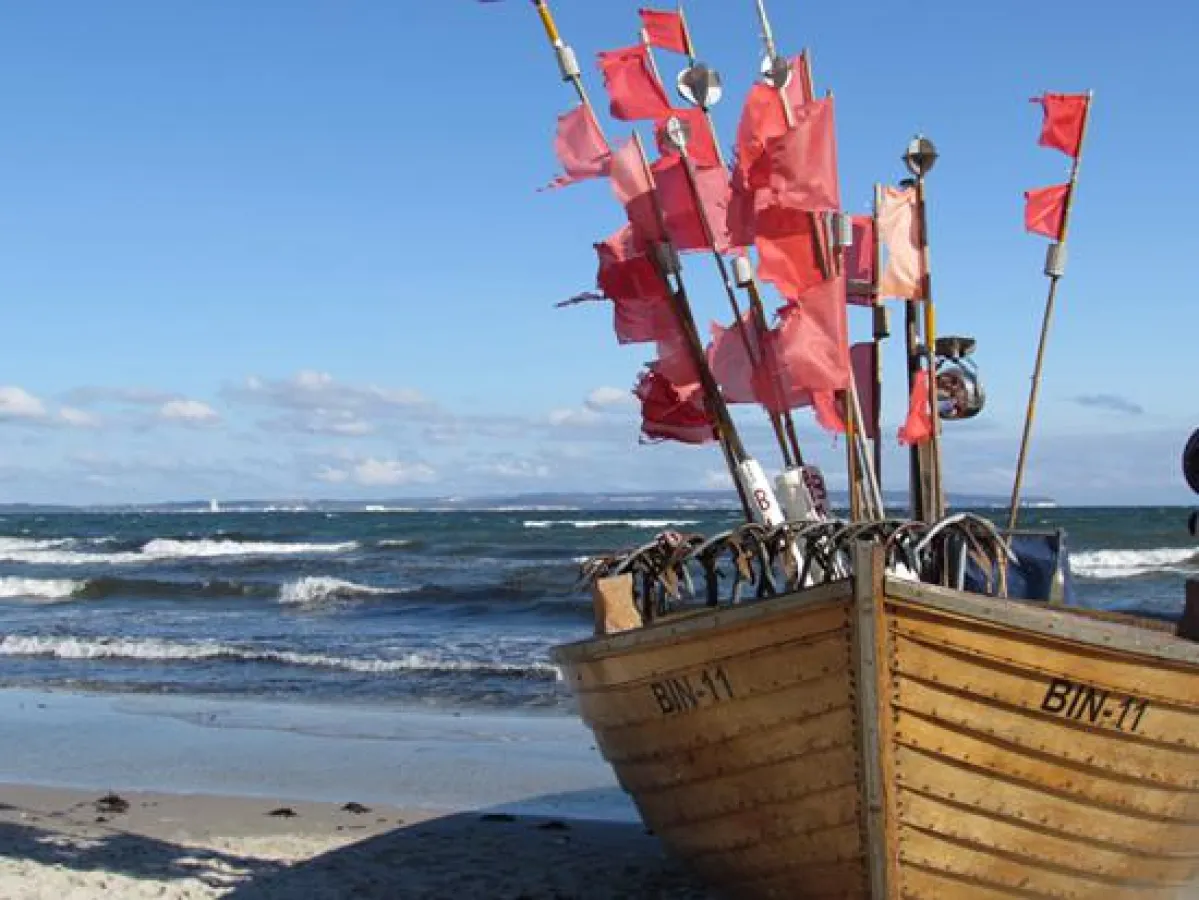 Travanto: Sommerabschluss mit Buchungsplus