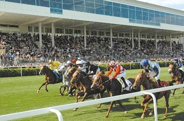 Pferdesport vom Feinsten im Magna Racino - Vederemo-Rennen und Prinz Theodor Ypsilanti Memorial Bild: Pferdesport vom Feinsten im Magna Racino - Vederemo-Rennen und Prinz Theodor Ypsilanti Memorial