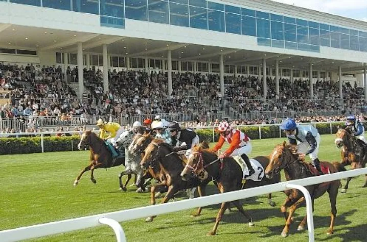 Pferdesport vom Feinsten im Magna Racino - Vederemo-Rennen und Prinz Theodor Ypsilanti Memorial Bild: Pferdesport vom Feinsten im Magna Racino - Vederemo-Rennen und Prinz Theodor Ypsilanti Memorial