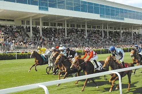 Bild: Pferdesport vom Feinsten im Magna Racino - Vederemo-Rennen und Prinz Theodor Ypsilanti Memorial