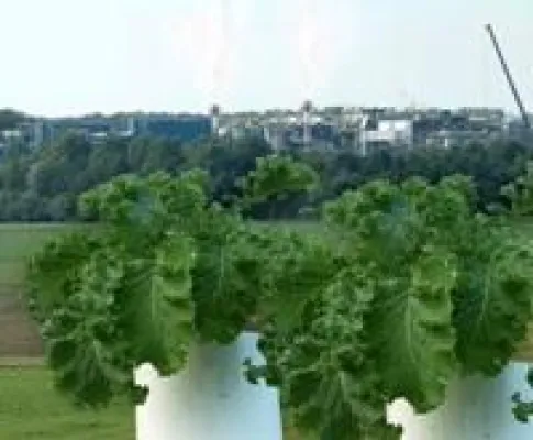 Umweltmonitoring - Pflanzen für das Umwelt-Qualitätsmanagement Bild: Umweltmonitoring - Pflanzen für das Umwelt-Qualitätsmanagement