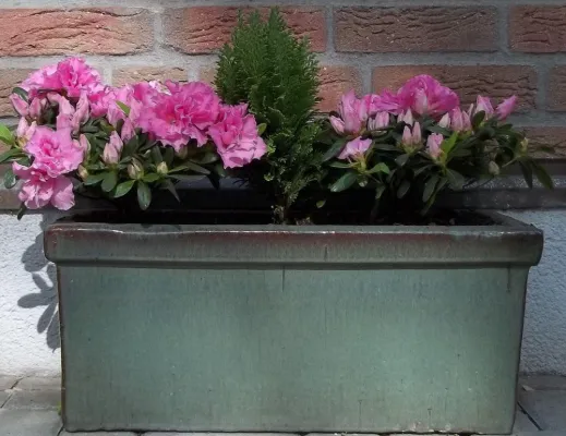 Bild: Sachliche Diskussion über Abtreibung