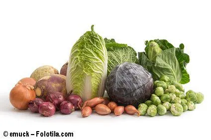 Bild: Wintergemüse – Vitaminbomben für Gourmets