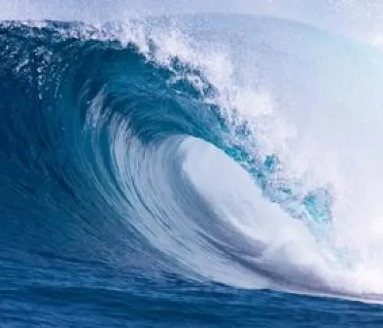 oxaion fokussiert Umweltbranche Bild: oxaion fokussiert Umweltbranche