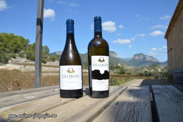 Bild: Wein aus Mallorca - Bodega Olorón