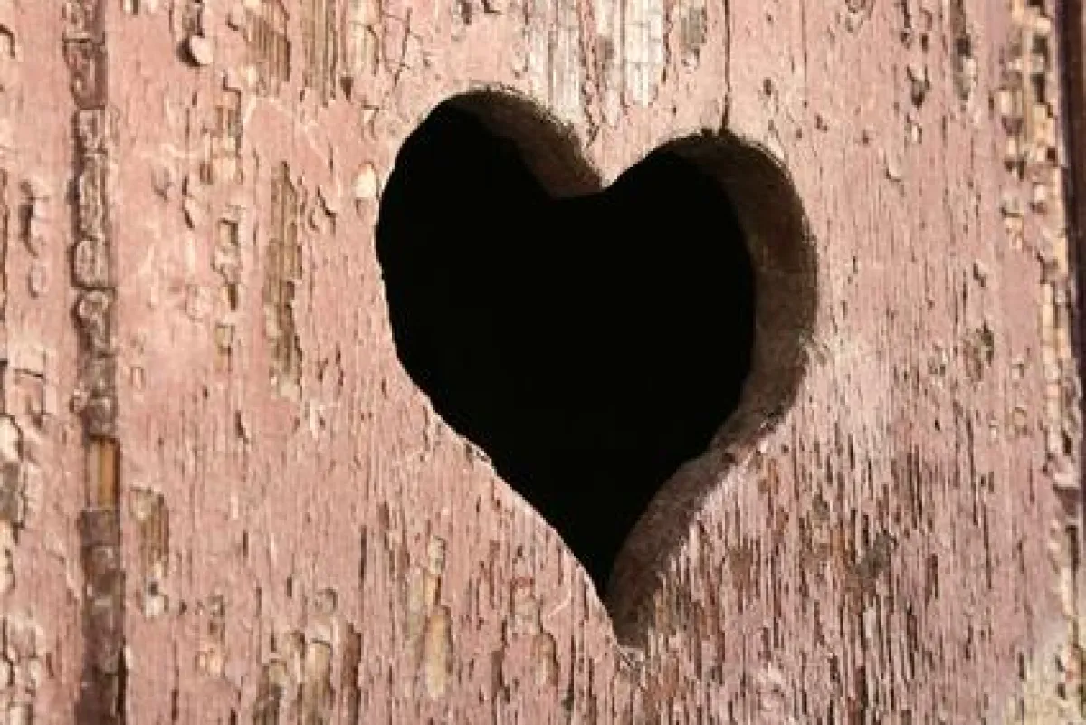 Zu den häufigsten Symptomen der Magen Darm Grippe gehören Erbrechen und Durchfall.