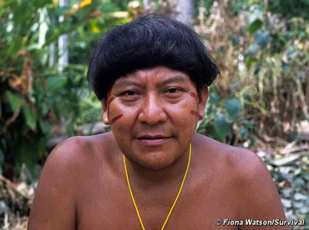 Davi Yanomami besucht Deutschland und bittet um Hilfe, sein Volk vor illegalen Eindringlingen zu schützen. © Survival