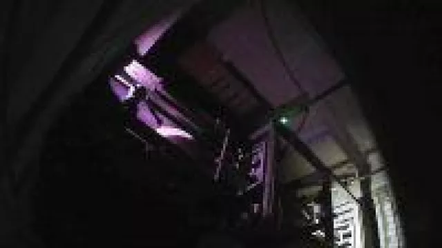 Bild: Schwein verbotenerweise 19-mal mit Elektrotreiber im Schlachthof Laatzen misshandelt